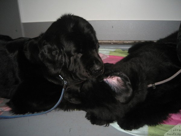 Фотография № 57933