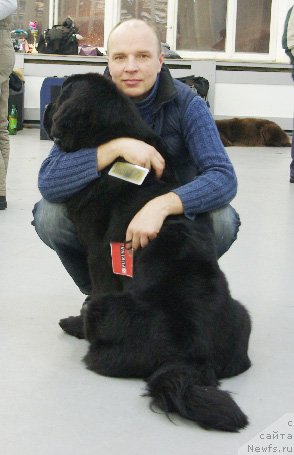 Фотография № 57941