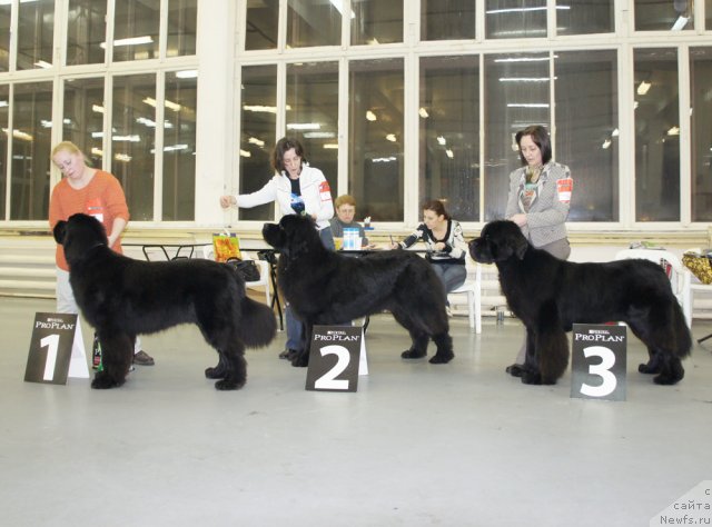 Фотография № 57947