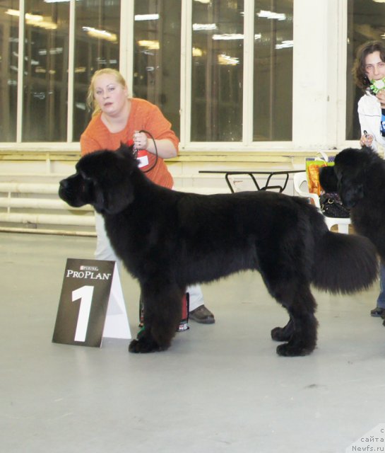 Фотография № 57949