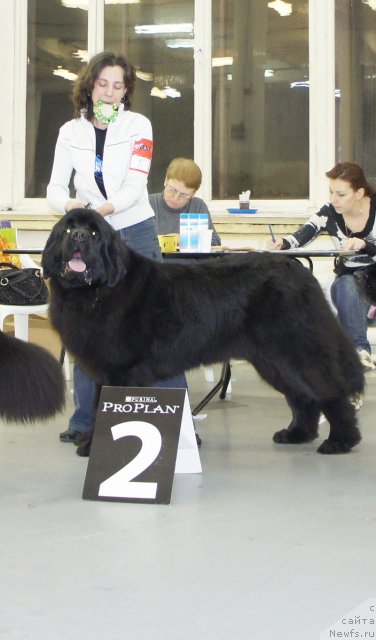 Фотография № 57950