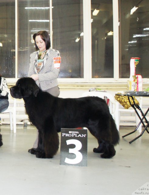 Фотография № 57951