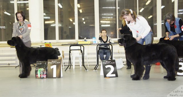 Фотография № 57953