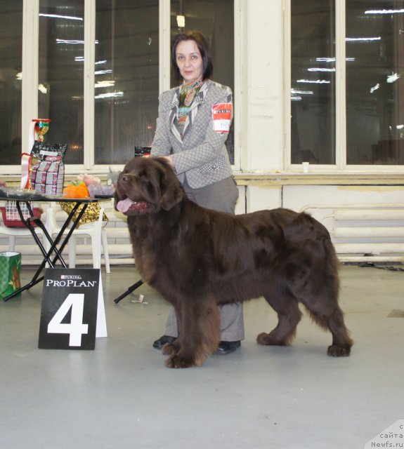 Фотография № 57958