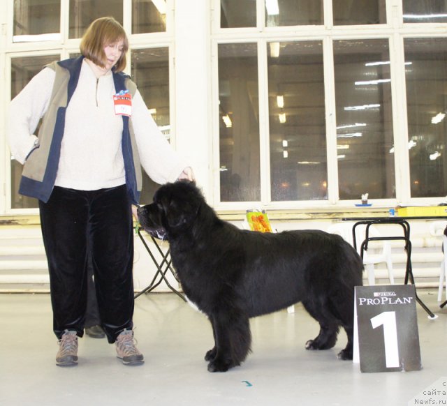 Фотография № 57959