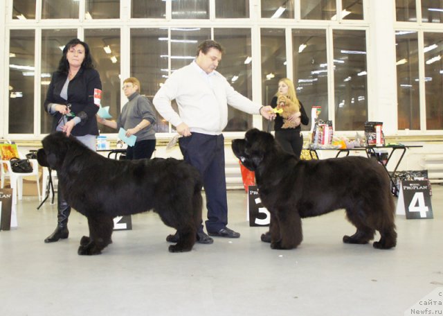 Фотография № 57960