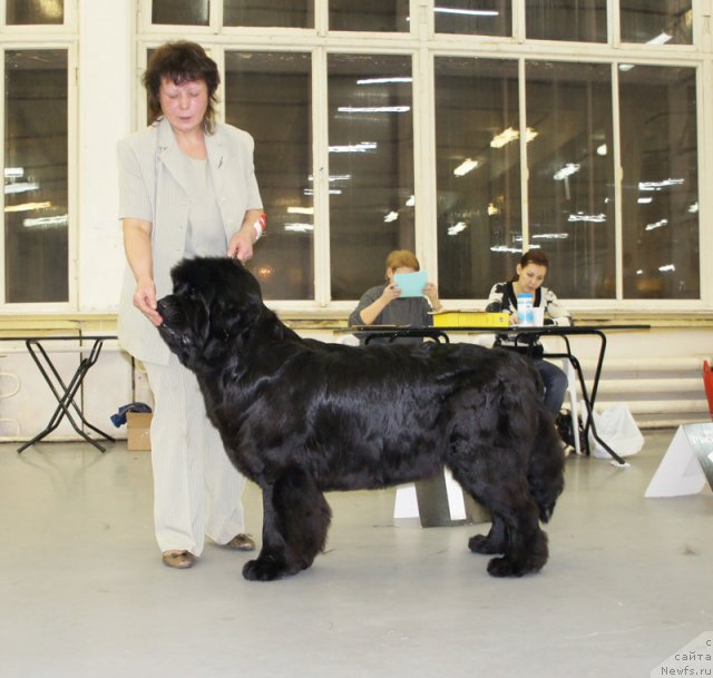 Фотография № 57963