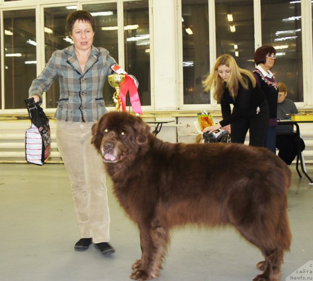 Фотография № 57964