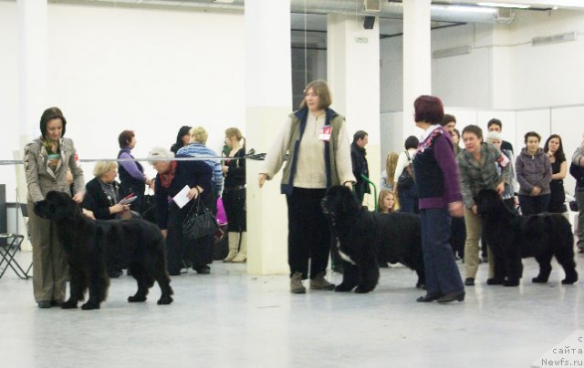 Фотография № 57967