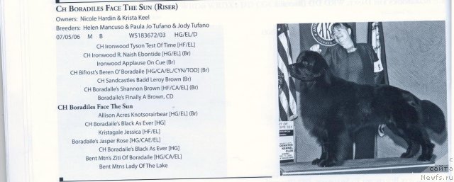 Фотография № 57971