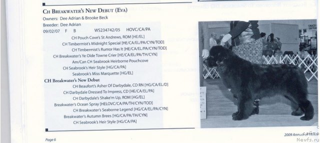 Фотография № 57972