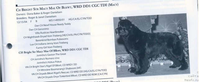 Фотография № 57974