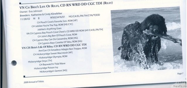 Фотография № 57975