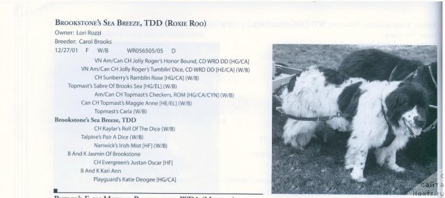 Фотография № 57976