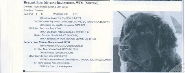 Фотография № 57977