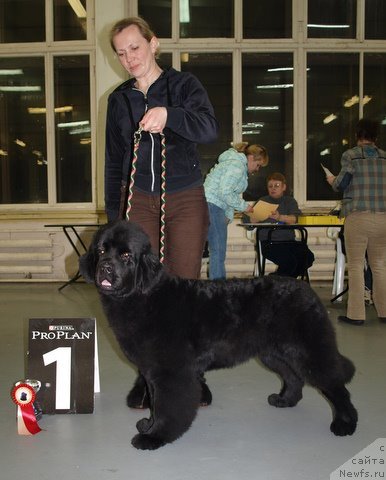 Фотография № 57983