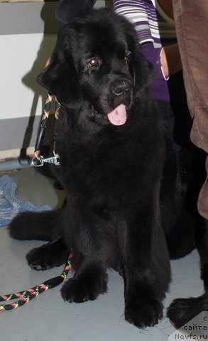 Фотография № 57984