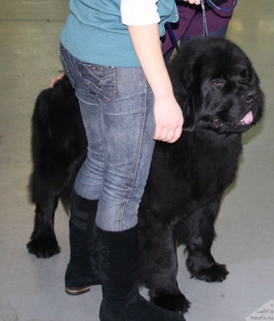 Фотография № 57988