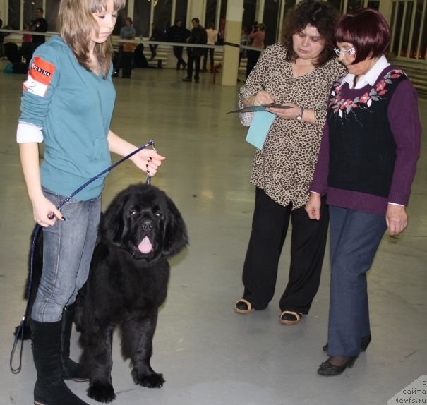 Фотография № 57992