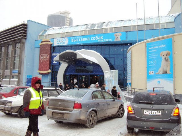 Фотография № 57997