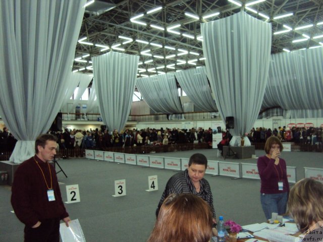 Фотография № 58016