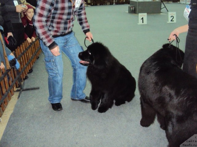 Фотография № 58018