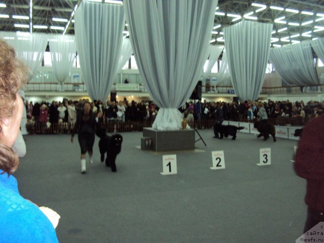 Фотография № 58019