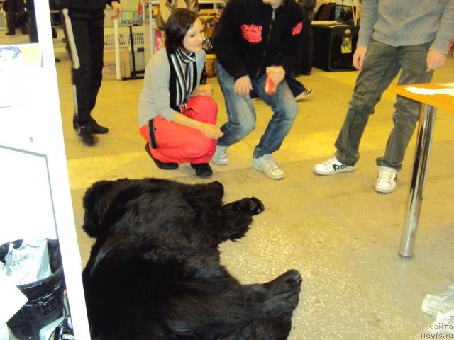 Фотография № 58022