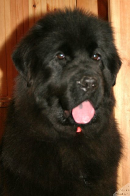 Фотография № 58031