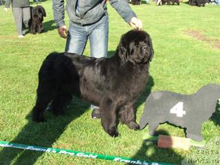 Фотография № 5806