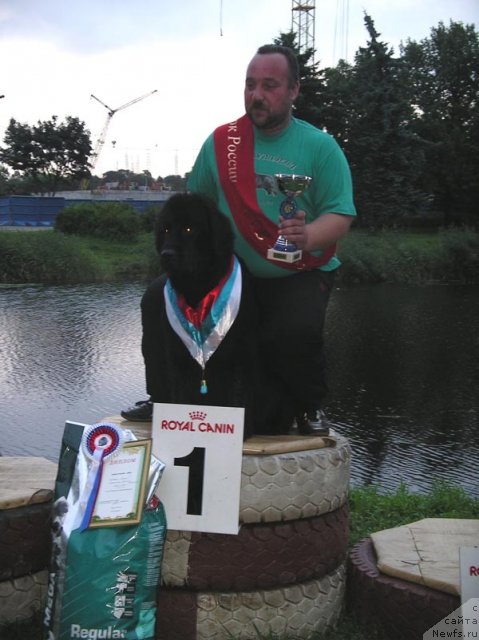 Фотография № 58093