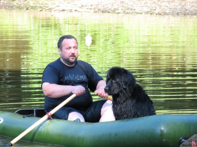 Фотография № 58094