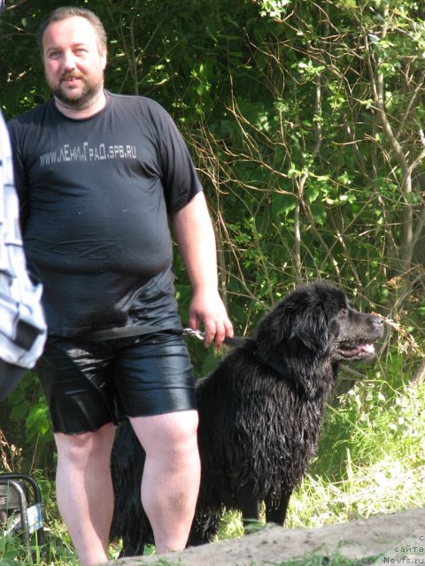 Фотография № 58097