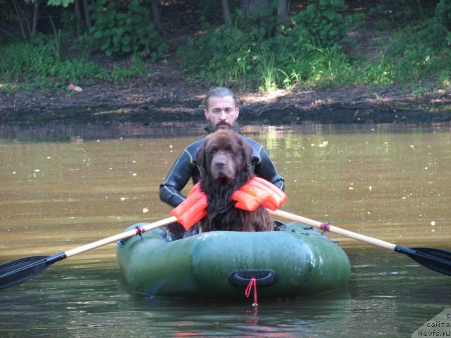 Фотография № 58100