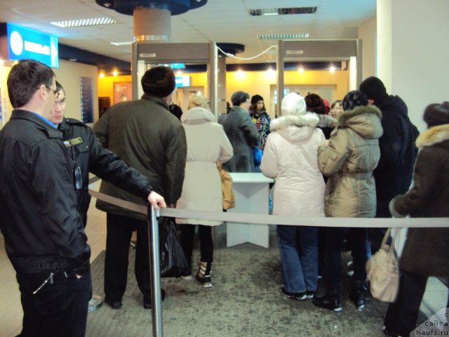 Фотография № 58104