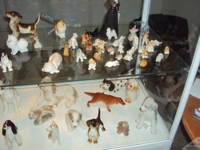 Фотография № 58107