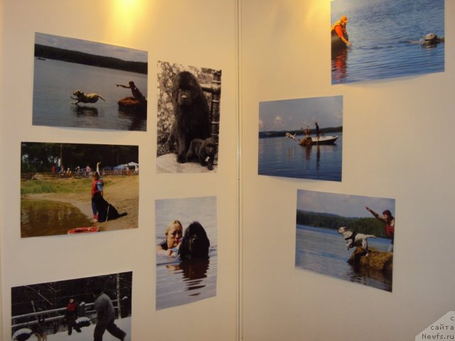 Фотография № 58113