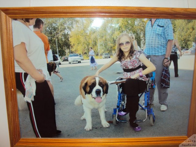 Фотография № 58115