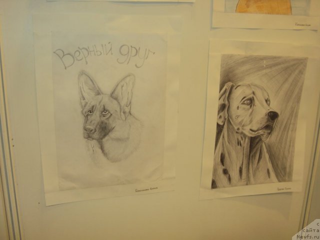 Фотография № 58117