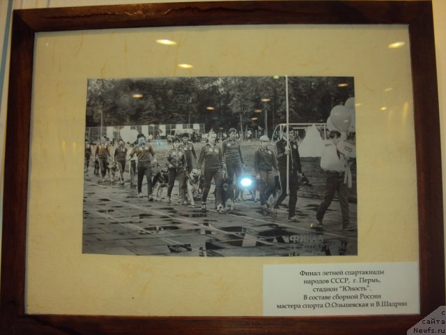 Фотография № 58119