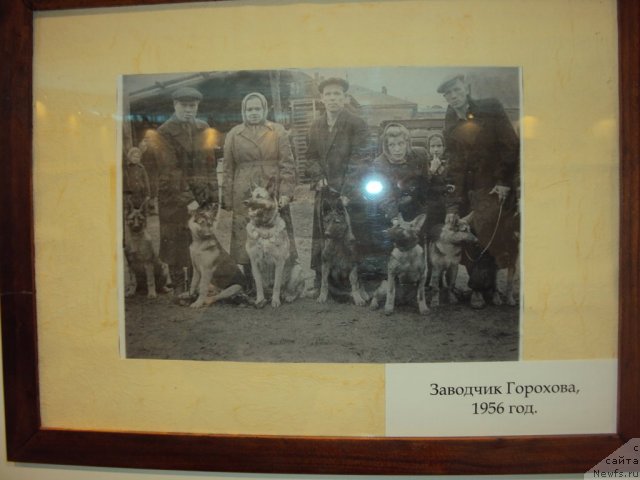 Фотография № 58121