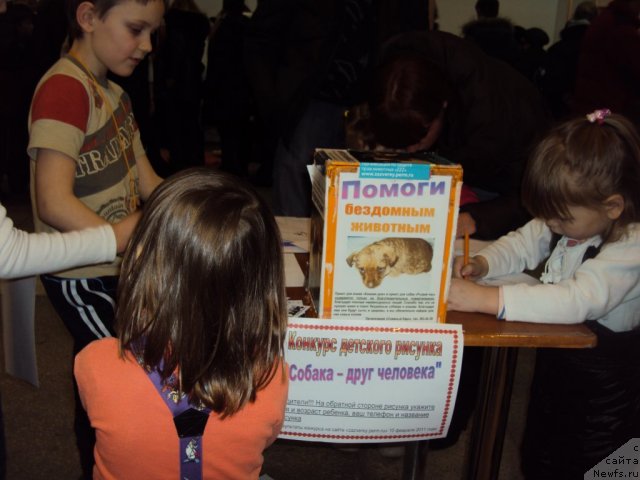 Фотография № 58124