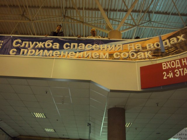 Фотография № 58125