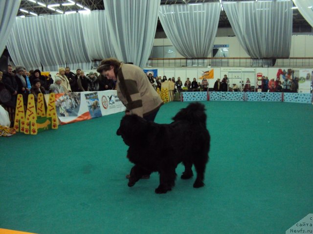 Фотография № 58129