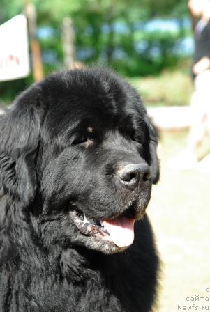 Фотография № 5813