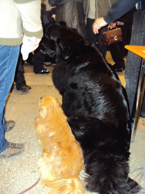 Фотография № 58133