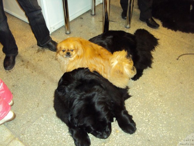 Фото: [d7201] и Беня!