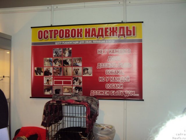 Фотография № 58136