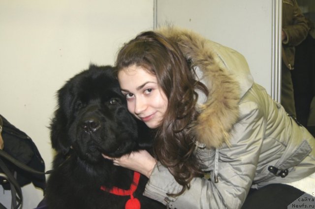 Фотография № 58141