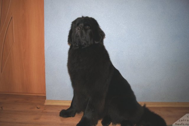 Фотография № 58143